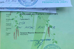 ятакса.рф
