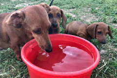 ятакса.рф