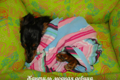 ятакса.рф