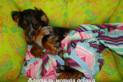 ятакса.рф