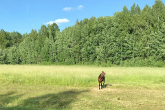 ятакса.рф