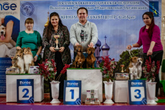 ятакса.рф