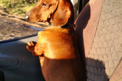 ятакса.рф