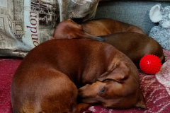 ятакса.рф