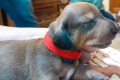 img-20250424-wa0012-2