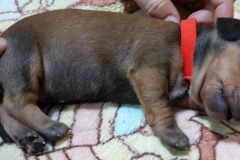 img-20250424-wa0015-2