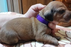 img-20250424-wa0017-2