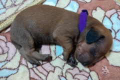 img-20250424-wa0019-2