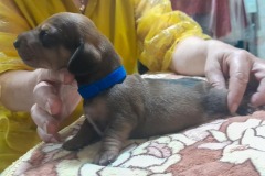 img-20250424-wa0022-2