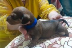 img-20250424-wa0023-2