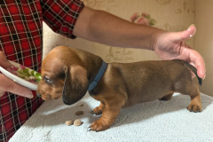 ятакса.рф