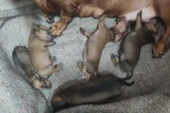 izobrazhenie-whatsapp-2025-04-19-v-11.18.04_23464053