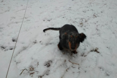 ятакса.рф