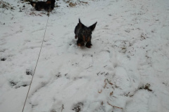 ятакса.рф