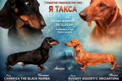 ятакса.рф