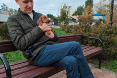 ятакса.рф