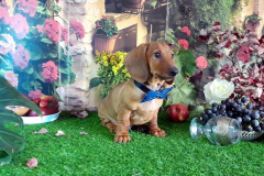 ятакса.рф