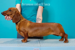 ятакса.рф