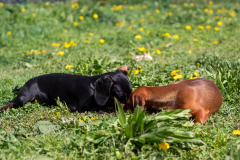 ятакса.рф