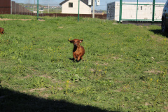 ятакса.рф