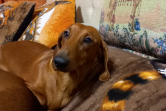 ятакса.рф