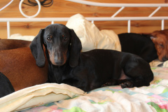 ятакса.рф