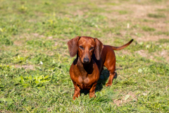 ятакса.рф
