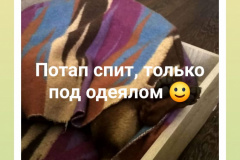ятакса.рф