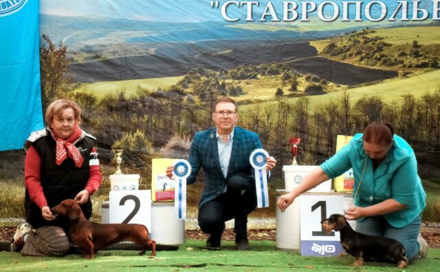 Питомник Я Такса — ятакса.рф