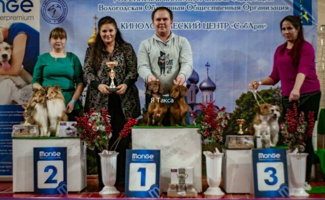 Питомник Я Такса — ятакса.рф