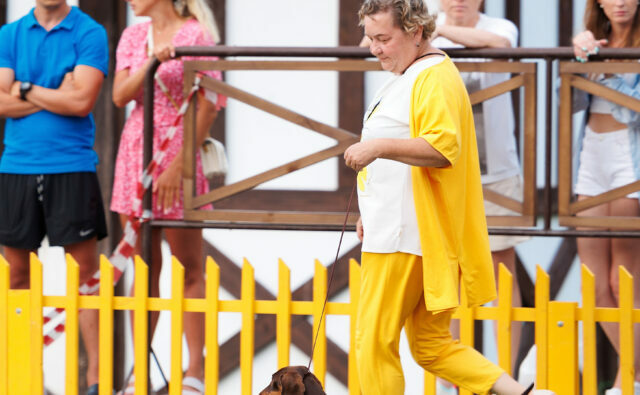 Питомник Я Такса — ятакса.рф