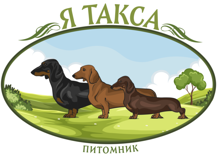 Логотип питомника собак "Я Такса"