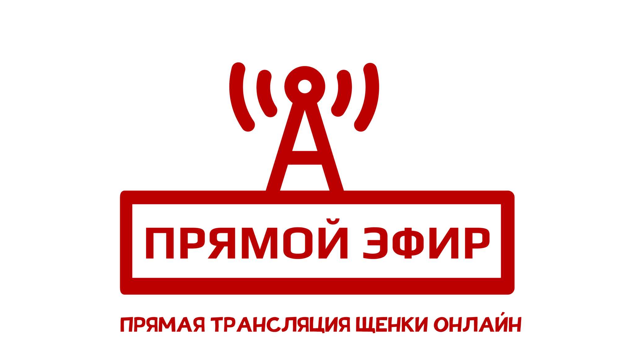 Jwl прямой эфир. Прямой эфир. Прямой эфир надпись. Внимание прямой эфир. Эфир прямой эфир