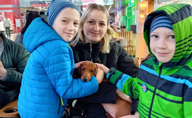 Питомник Я Такса — ятакса.рф