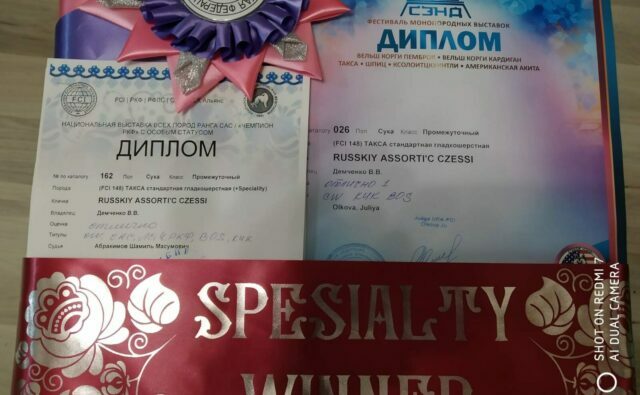 Питомник Я Такса — ятакса.рф