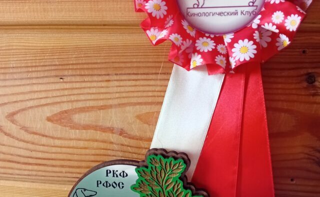 Питомник Я Такса — ятакса.рф