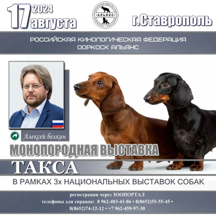 Монопородная выставка такс