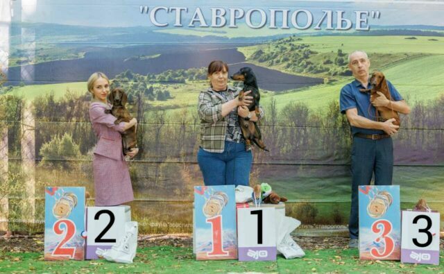 Питомник Я Такса — ятакса.рф