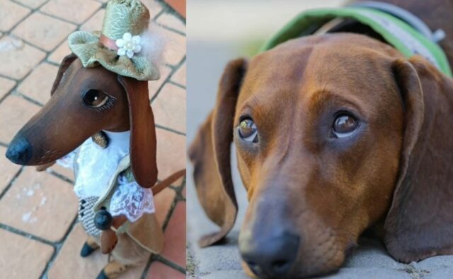 Питомник Я Такса — ятакса.рф