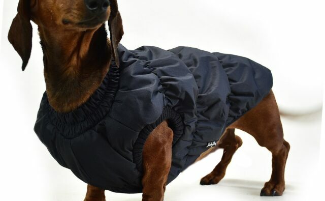 Питомник Я Такса — ятакса.рф