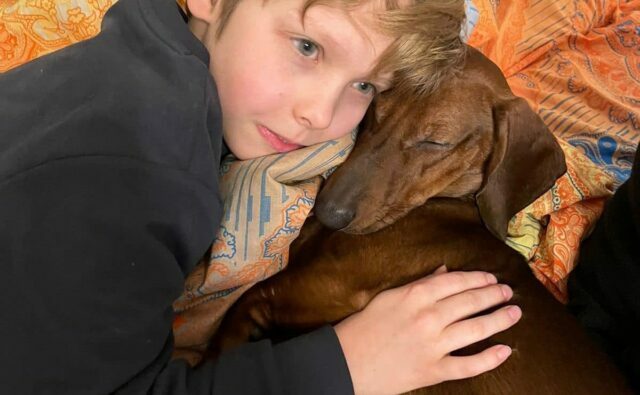 Питомник Я Такса — ятакса.рф