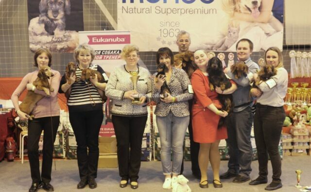 Питомник Я Такса — ятакса.рф