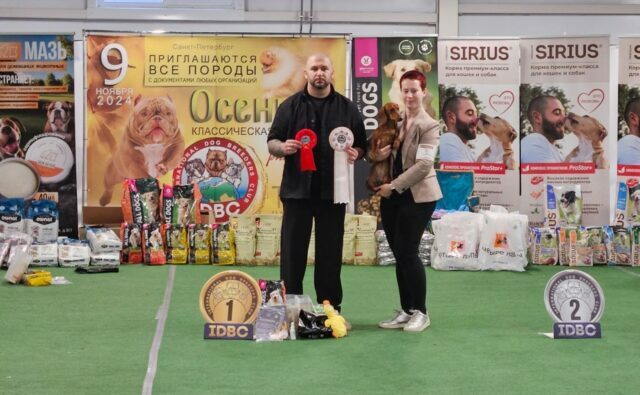 Питомник Я Такса — ятакса.рф