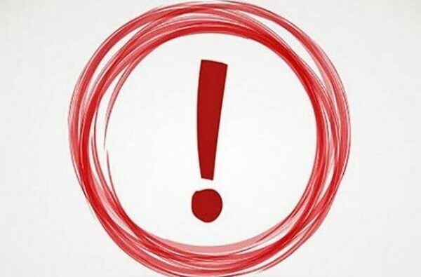 Питомник Я Такса — ятакса.рф