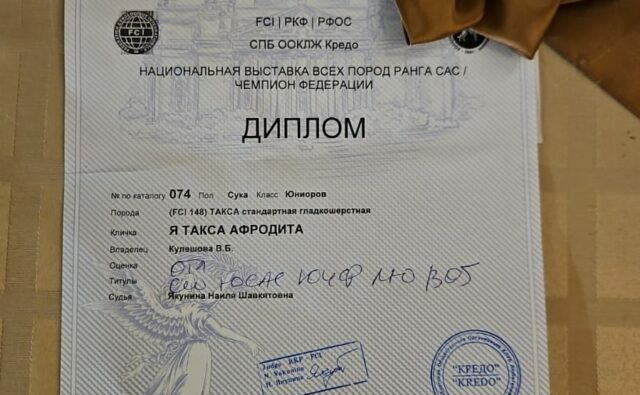 Питомник Я Такса — ятакса.рф