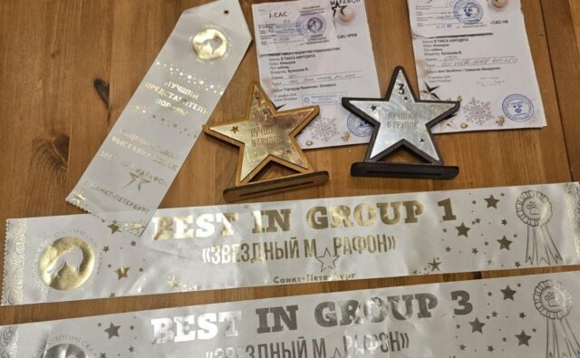 Питомник Я Такса — ятакса.рф