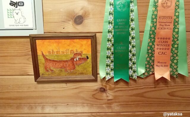 Питомник Я Такса — ятакса.рф