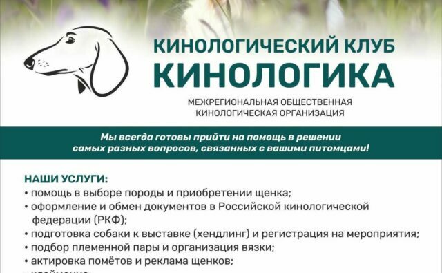 Питомник Я Такса — ятакса.рф