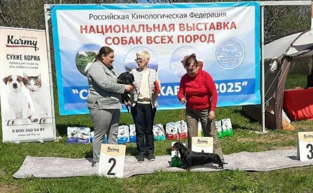 Питомник Я Такса — ятакса.рф