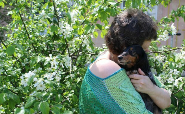 Питомник Я Такса — ятакса.рф